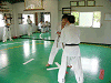 syo (117)_samu.gif